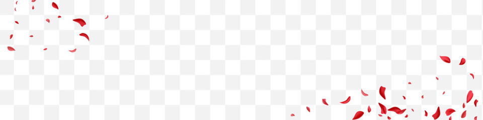 Pink Floral Summer Vector Transparent Panoramic