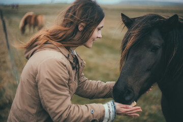 Young woman on the nature in cold day. Tourist female strokes the black beautiful horse in mountains in Iceland. - obrazy, fototapety, plakaty