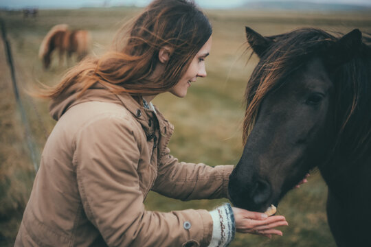 Young woman on the nature in cold day. Tourist female strokes the black beautiful horse in mountains in Iceland.