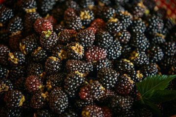 Close-up. Black berries in a basket.