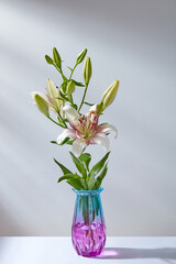 white lily with green leaves stands in a blue-violet vase on a white table against the background of a white wall with a shadow from the sun's rays 