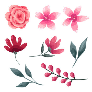 Big Set watercolor elements - rose, leaves, grapes. collection of vector elements. illustration isolated on white background. Botanic. © Johnstocker