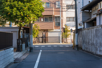 Fototapeta na wymiar 日本の路地裏