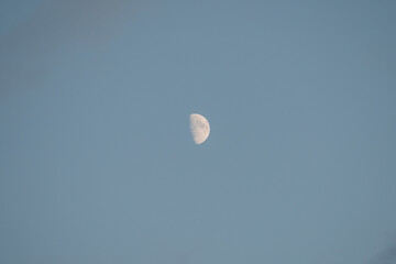 Half moon in twilight blue sky