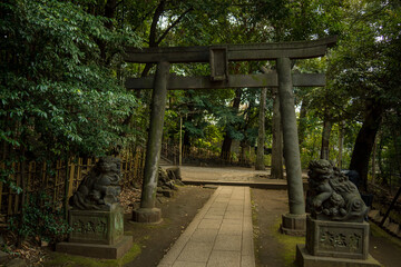 神社の鳥居と狛犬