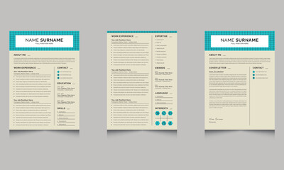 Professional Resume Cv Template 100% Editable Design Job Apply Now