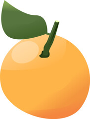 orange fruit vector. orange fruit icon and illustration