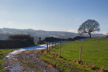 morning in the hills