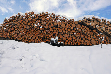 cataste di legno sotto la neve in montagna