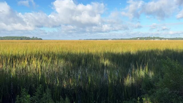 Beautiful view of an island salt marsh wetlands with partly cloudy skies
