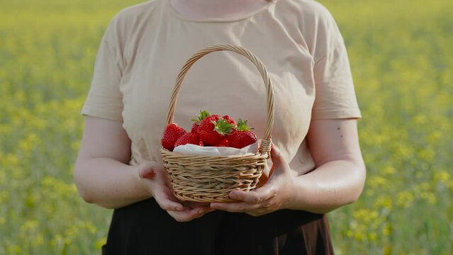 Plus size woman holding wicker basket with ripe large red strawberries in hands, close-up. Farmer in beige t-shirt, brown skirt stands in agricultural yellow rapeseed field on sunny day, slow motion.