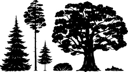 Set of forest trees and bushes isolated silhouettes, green tall spruce tree, green tall pine tree, white spruce evergreen coniferous tree, green bushes, oak tree
