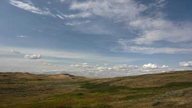Time lapse of an open prairie with small hills under a blue sky with white clouds. A strong wind is blowing the dry prairie grass.
