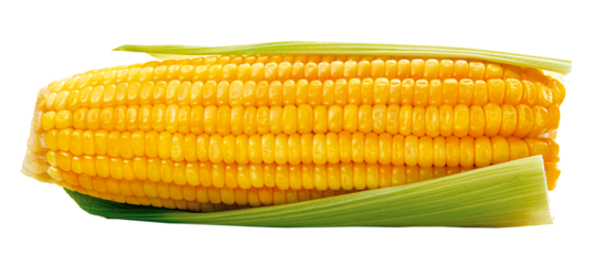 Espiga de milho descascada - milho verde com folha