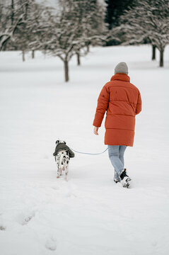 Junge Frau in orangener Winterjacke geht mit Dalmatiner in Schnee während Winter spazieren Gassi