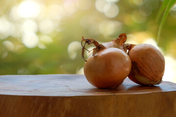 Obraz na płótnie Canvas Onions on a wooden table against a green blurred background. The concept of collecting fresh harvest. 