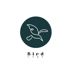 Bird line art concept illustration