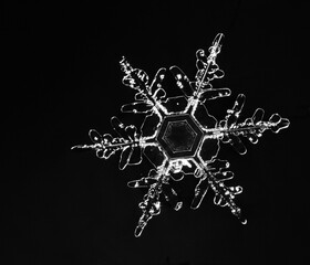 Photo of snowflake close-up on a black background