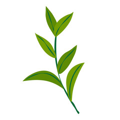 Small l branch of Nature theme. Flat vector icon on PNG transparent background 