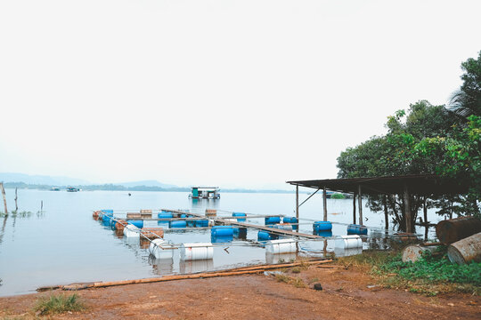 fish pond in the lake