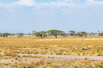 Fototapeta na wymiar Beautiful landscape at the Ngorongoro conservation area, Tanzania