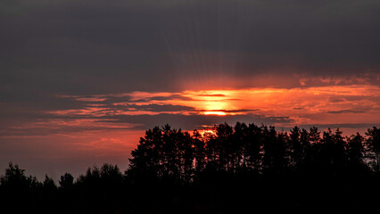 Sun breaks through the clouds. The rays of the sun break through the clouds. Silhouettes of trees against the backdrop of sunrise.