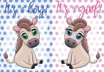 Baby shower party with cute cartoon donkey, pony boy and girl