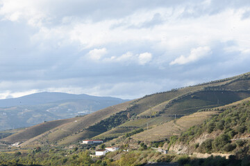 Fototapeta na wymiar Landscape view of the beautiful douro river valley in Portugal. Miradouro Sebolido