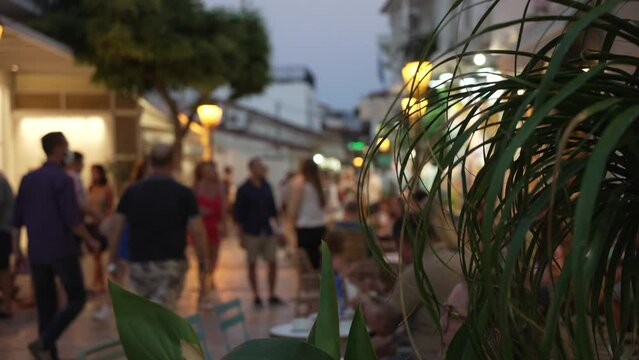 Plant and shops, out of focus, in the Old Town at dusk, Skiathos Town, Skiathos, Sporades Islands, Greek Islands