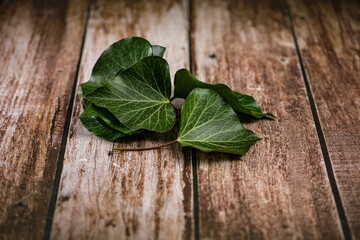 Arrangement with ivy spread on a wooden board