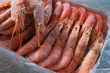 frozen king fresh shrimps on ice, seafood background top view