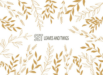 Fototapeta na wymiar Set of branches with leaves. Garden plants in gold. Curved branches with different leaves. Vector drawing of twigs. Decorative elements for design. Vector illustration.