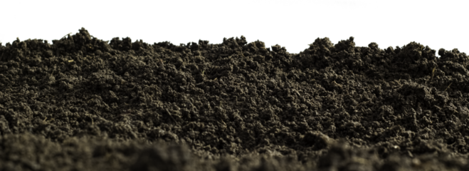 Soil Banner isolated on white Background . Peat moss isolaetd on white background