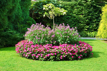 Circular flowerbed with flowers and green lawn, green trees and hedges