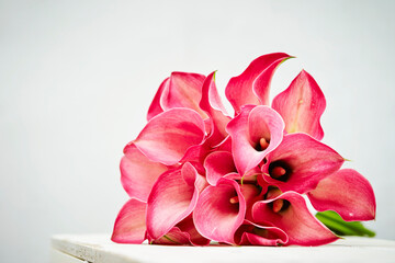 Obraz na płótnie Canvas pink calla flowers,background with flowers