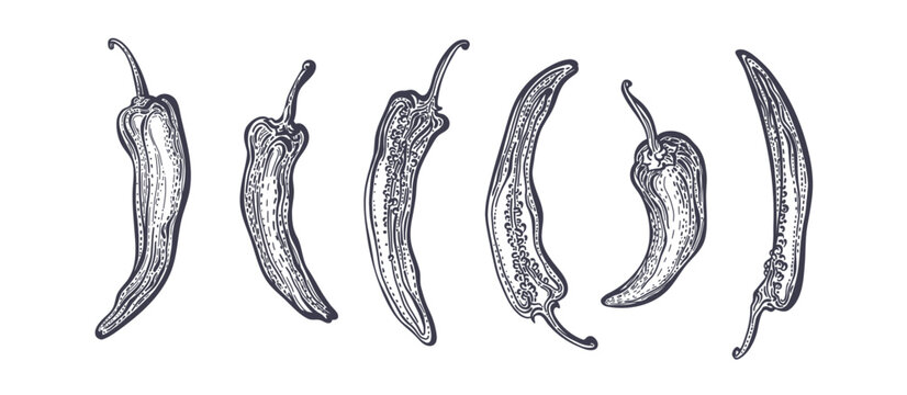 Pepper chilli, half and whole Jalapeno and paprika