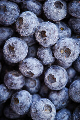 Close-up of fresh blueberries with water droplets	
