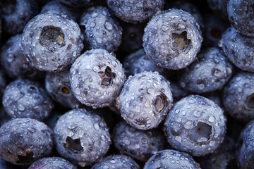 Close-up of fresh blueberries with water droplets