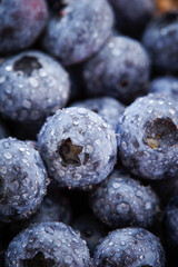 Close-up of fresh blueberries with water droplets	