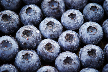 Close-up of fresh blueberries with water droplets	