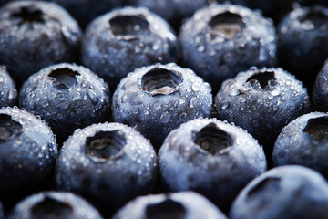 Close-up of fresh blueberries with water droplets	