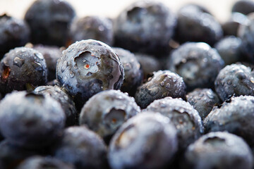 blueberries close up