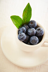 fresh blueberries in a bowl