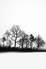 Minimalistic black and white landscape. Dark silhouettes of trees on white snow with black ink effect and blurred foreground.