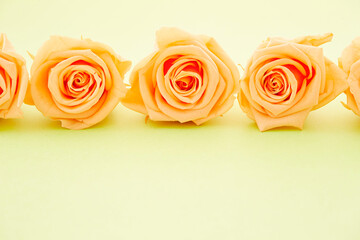 Preserved flower,dried rose background