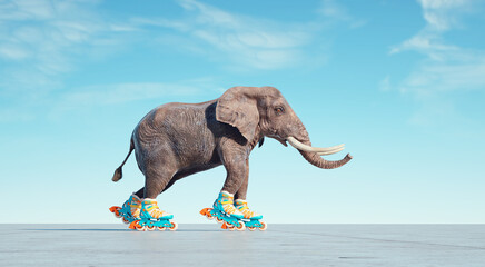 Elephant goes on rollers.