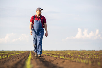 Young farmer in corn fields