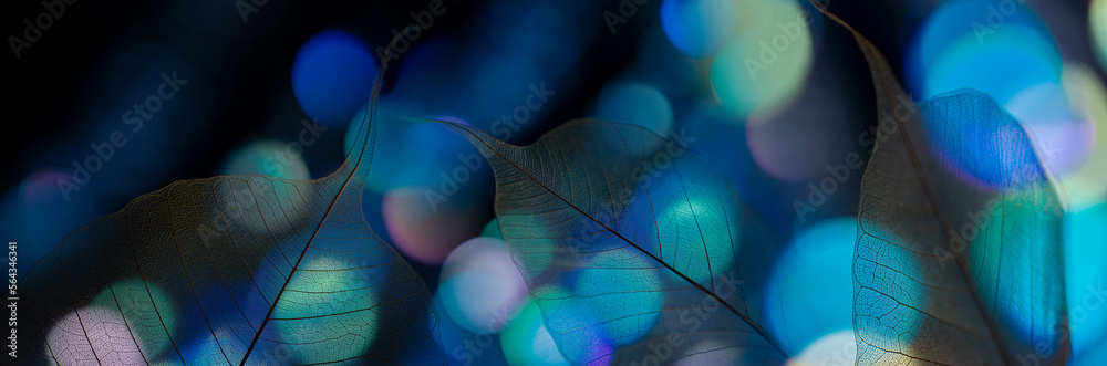 Sticker leaf texture, leaf with veins and cells and light bokeh