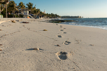 Spuren am Strand