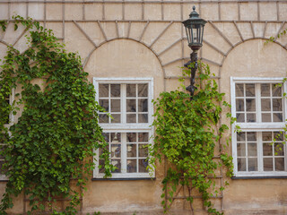 Fototapeta na wymiar facade of a residential building with green plants. old european house in Munich city, Germany.